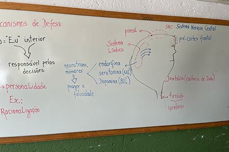 Reabilitação Triângulo