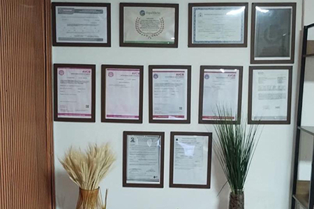 Reabilitação Triângulo