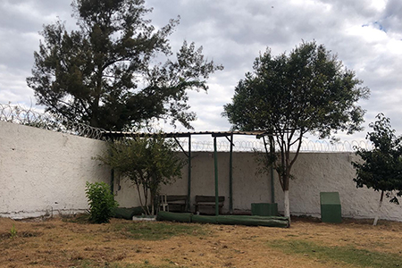 Reabilitação Triângulo