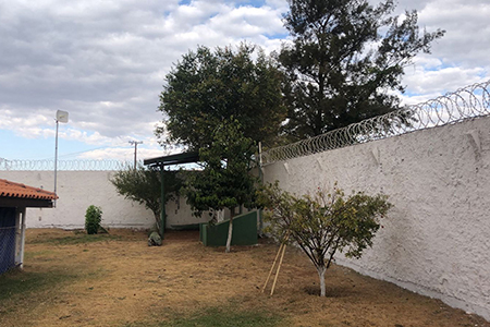 Reabilitação Triângulo