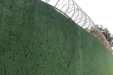 Reabilitação Triângulo