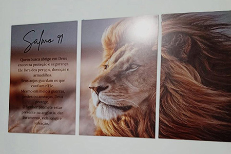 Reabilitação Triângulo