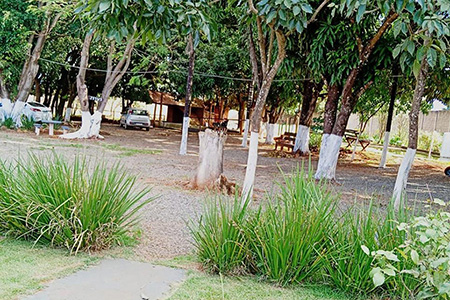 Reabilitação Triângulo
