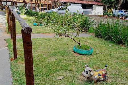 Reabilitação Triângulo