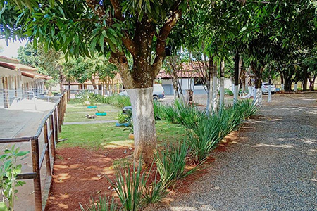 Reabilitação Triângulo