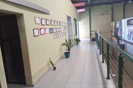 Reabilitação Triângulo