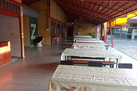 Reabilitação Triângulo