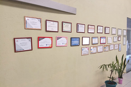 Reabilitação Triângulo