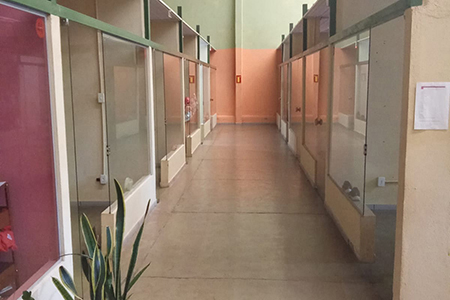 Reabilitação Triângulo